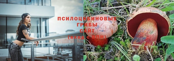 PSILOCYBIN Алексеевка