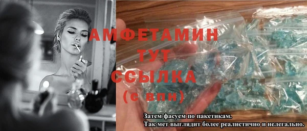 индика Ельня