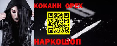 индика Шелехов