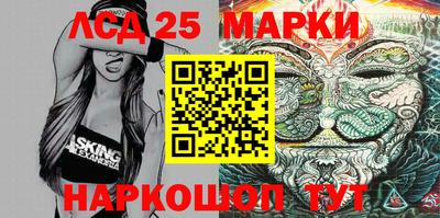 индика Шелехов