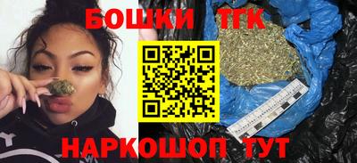 индика Шелехов