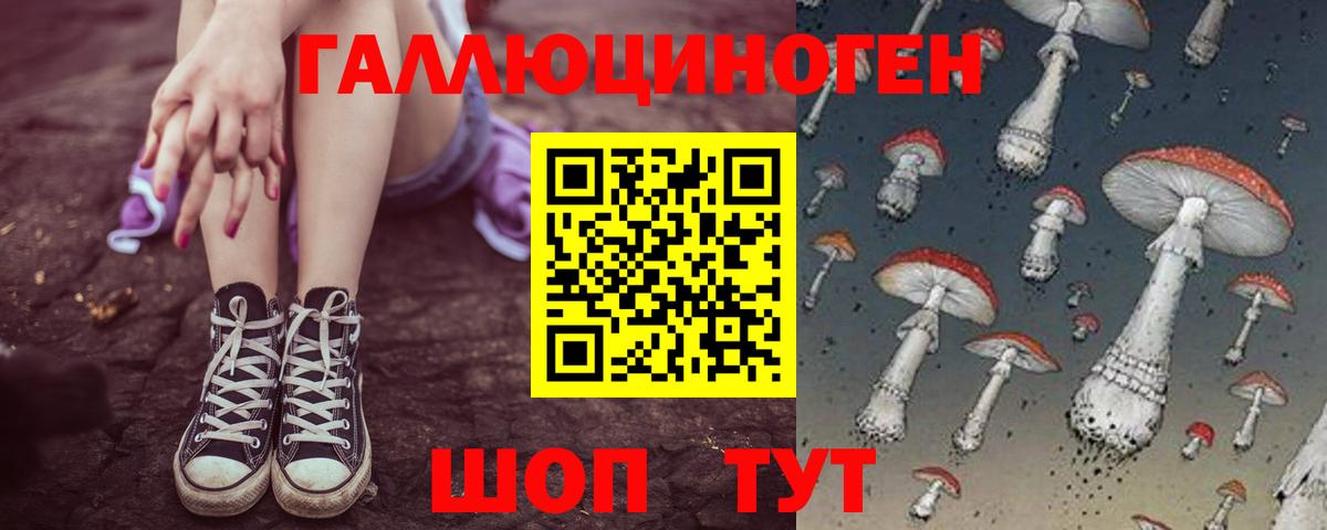 Псилоцибиновые грибы мухоморы Уссурийск
