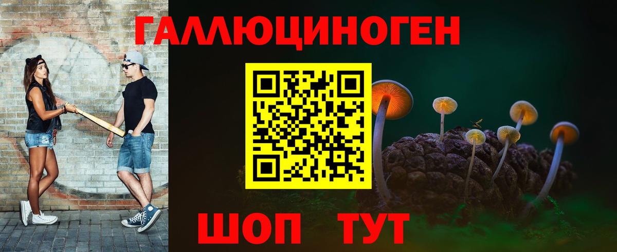 Уссурийск  Псилоцибиновые грибы мицелий  Вход с VPN  Псилоцибиновые грибы прущие грибы 
